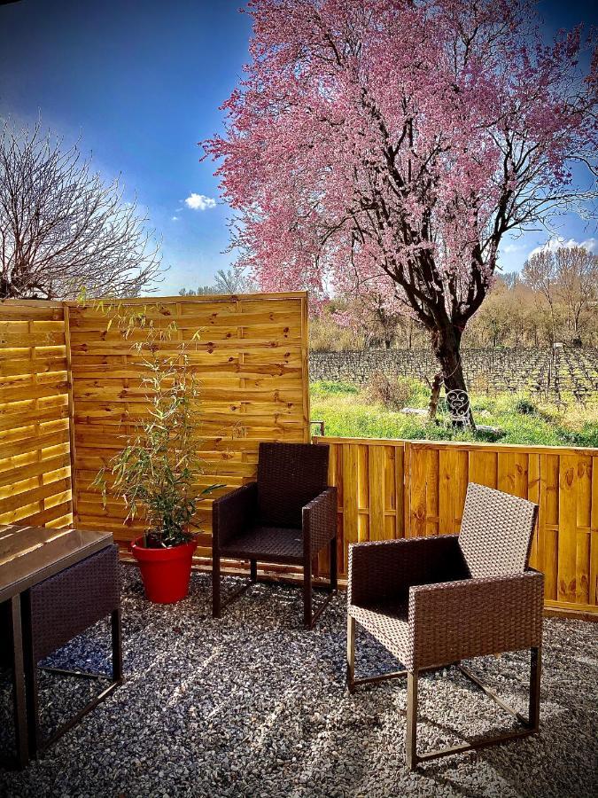 Lodging Au Milieu Des Vignes & Des Etoiles Saint-Jean-de-Fos Bagian luar foto